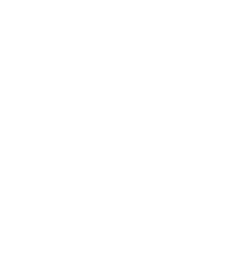 Ehammer neg