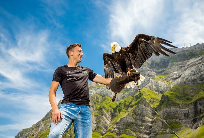 Ehammer Adler2022
